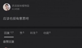 乐点爆料视频在线观看,精彩瞬间一网打尽，在线观看不容错过